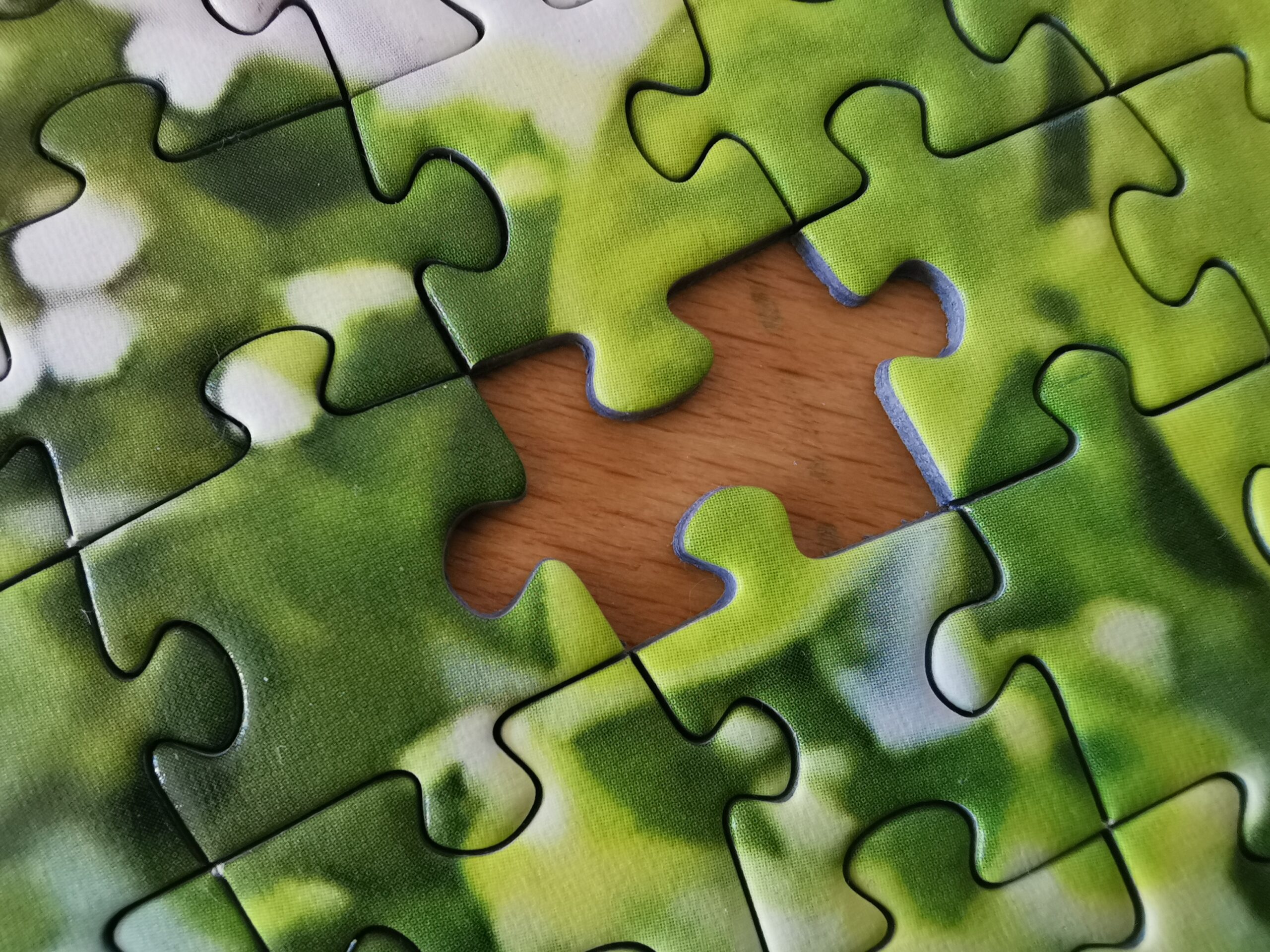 IMG_20230215_122710
